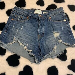 Re Generation jean shorts